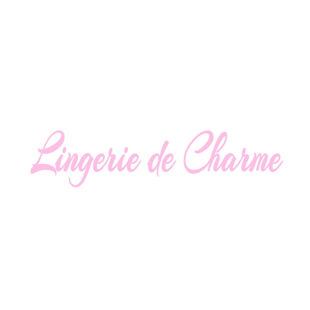 LINGERIE DE CHARME MONETAY-SUR-LOIRE
